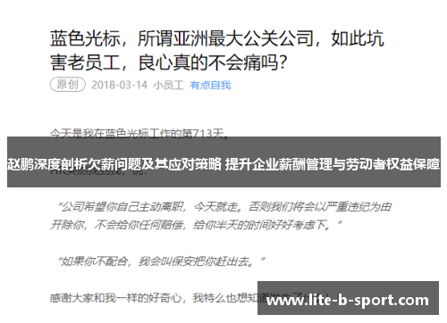 赵鹏深度剖析欠薪问题及其应对策略 提升企业薪酬管理与劳动者权益保障